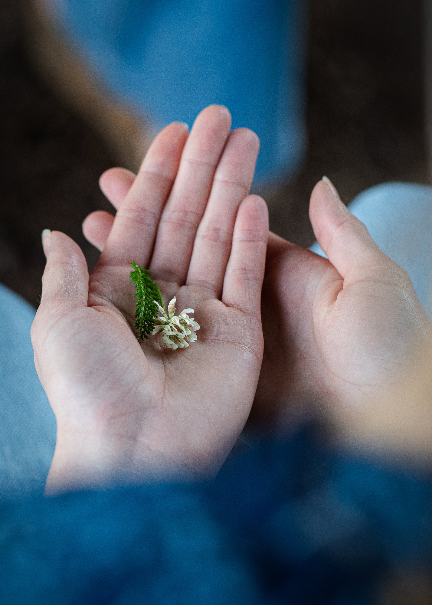 bloem in open hand